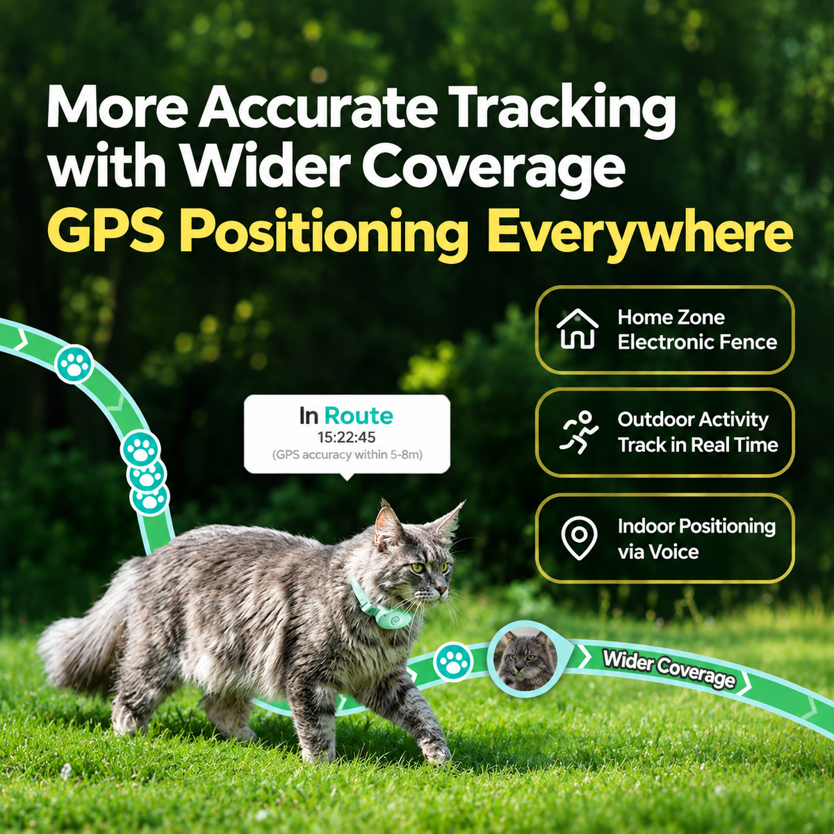 Pawkeyland Health Smart Collar for Cats