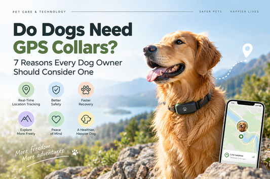 Do Dogs Need GPS Collars? 7 Reasons Every Dog Owner Should Consider On