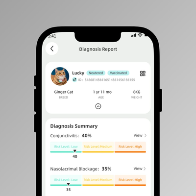 AI-Powered Risk Assessment