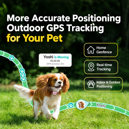 Pawkeyland Health Smart Collar for Dogs