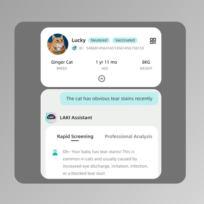 Symptom-Based Analysis