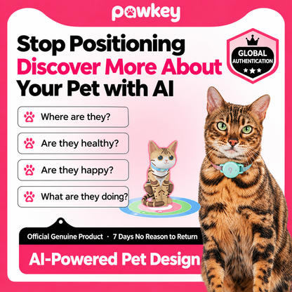 Pawkeyland Health Smart Collar for Cats