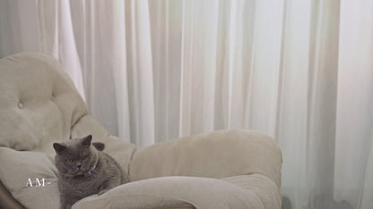 Pawkeyland Health Smart Collar for Cats